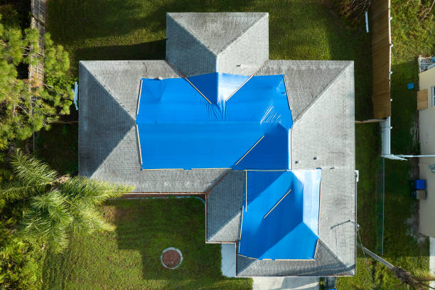 Best Roof Insulation Installation  in Wainaku, HI