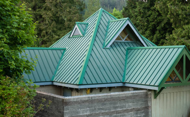 Best Roof Maintenance and Cleaning  in Wainaku, HI