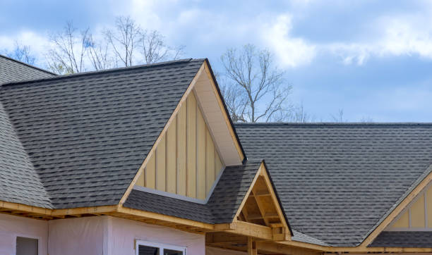 Best Solar Panel Roofing Installation  in Wainaku, HI